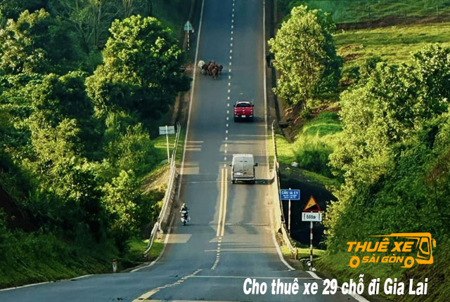 Cho thuê xe 29 chỗ đi Gia Lai từ Sài Gòn