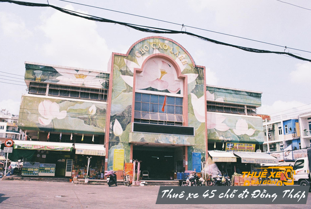 Cho thuê xe 45 chỗ đi Đồng Tháp | Xe đời mới, giá cạnh tranh