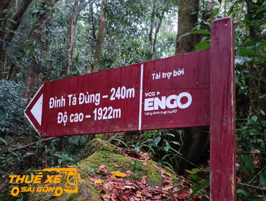 Trekking lên đỉnh Tà Đùng