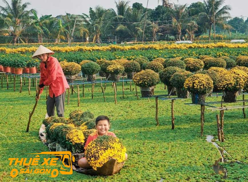 Cảnh đẹp bình yên làng hoa Sa Đéc