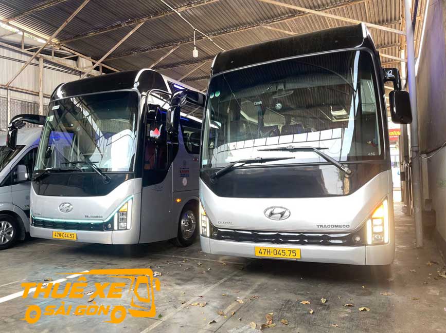 Dòng xe 29 chỗ Hyundai Global 2024