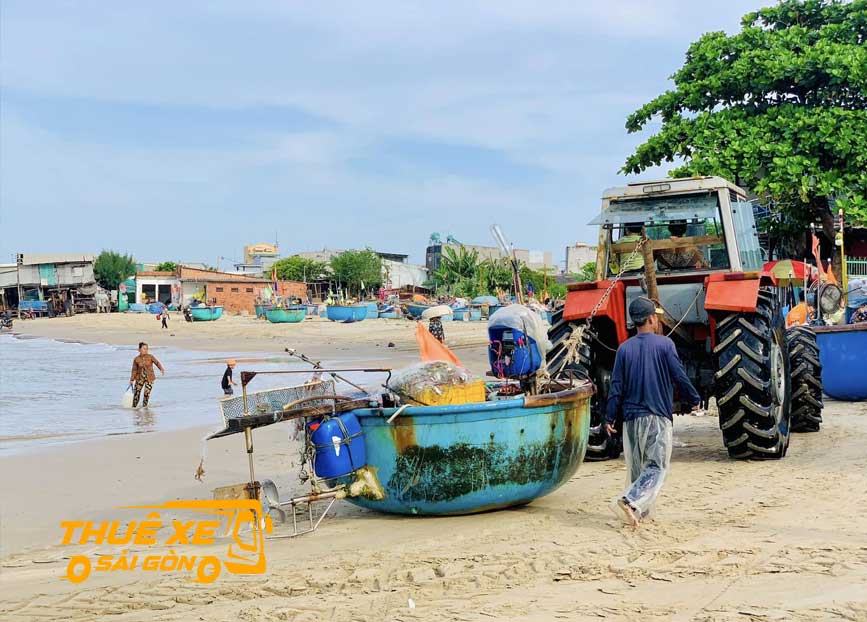 Những chiếc thuyền thúng cập biển vào buổi sáng