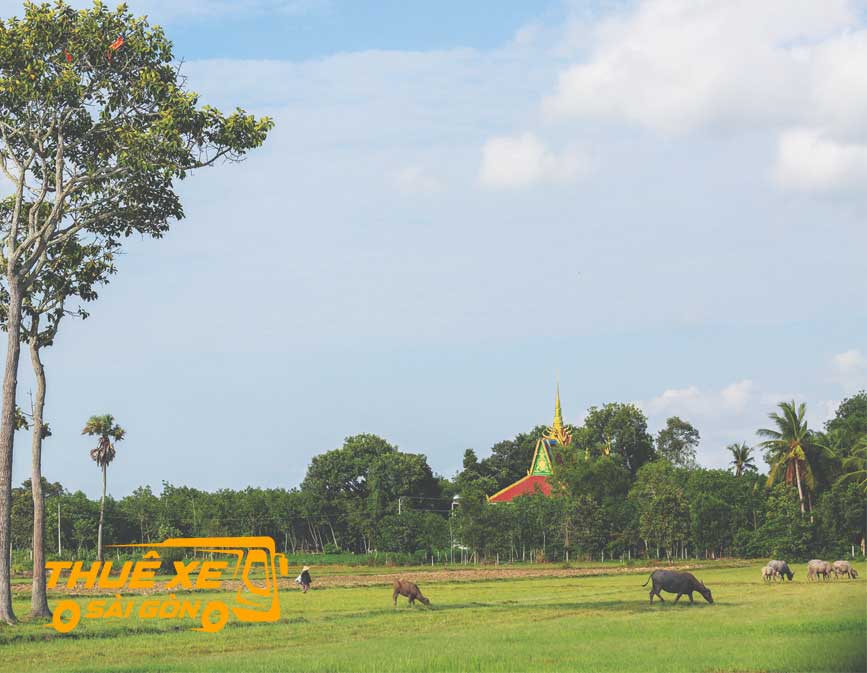 Những ngôi chùa Khmer ở Tân Biên