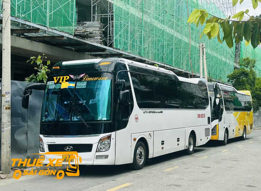 Thuê xe cùng Tân Triều Travel cho lịch trình của bạn