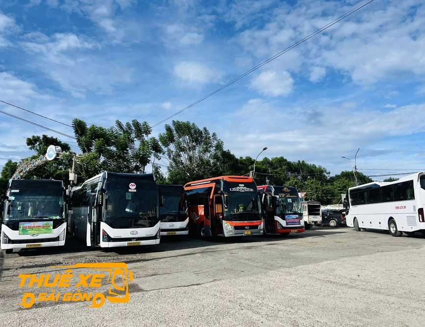 Đa dạng các dòng xe đi Trần Đề