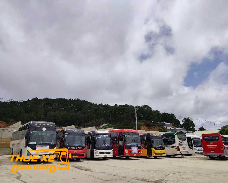 Đa dạng các dòng xe đi Phan Rang