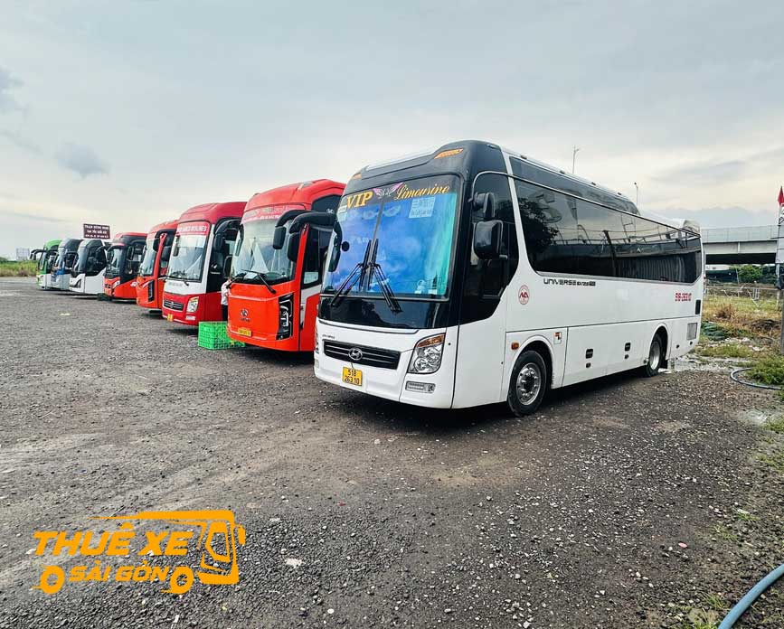 Đa dạng các dòng xe đi Cù Lao Dung