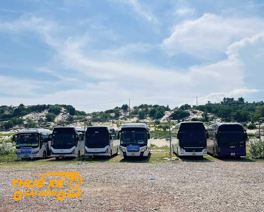 Đa dạng các dòng xe để lựa chọn