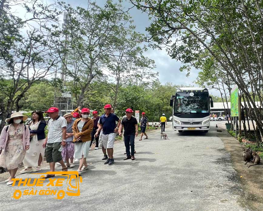 Lựa chọn Thuê Xe Sài Gòn cho chuyến đi của bạn