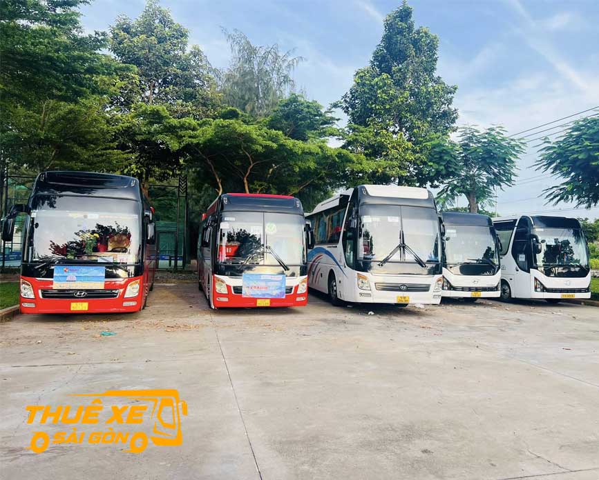 Đa dạng các dòng đi Giồng Trôm
