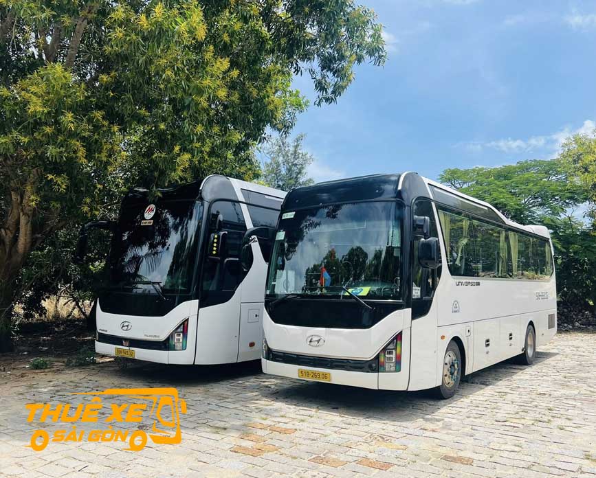 Đa dạng các dòng xe đi Đầm Dơi