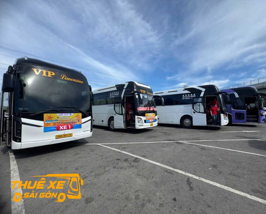 Đặt xe đi Novawolrd cùng Thuê Xe Sài Gòn