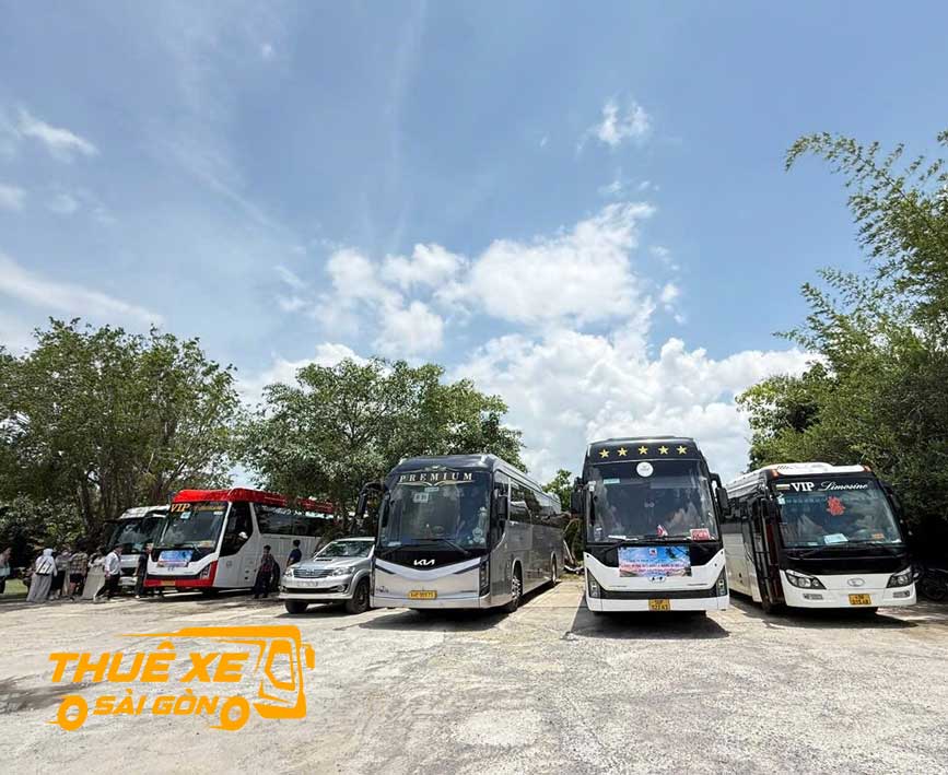 Đa dạng các dòng xe từ 4-45 chỗ đi Phù Cát