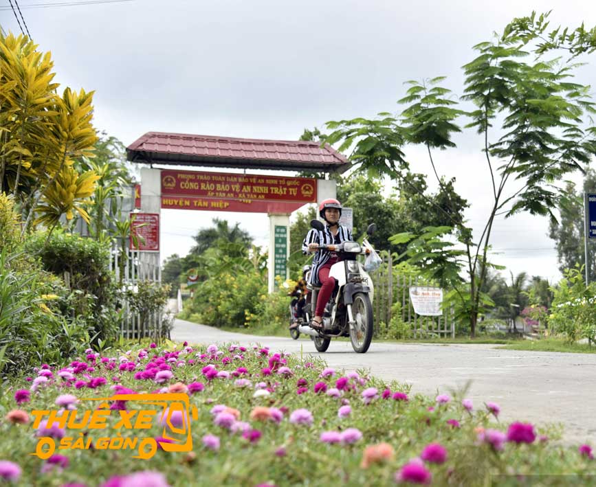 Nét đẹp mộc mạc miền quê Tân Hiệp