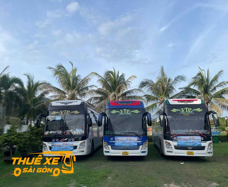 Hãy đặt xe đi Tân Hiệp cùng Thuê Xe Sài Gòn