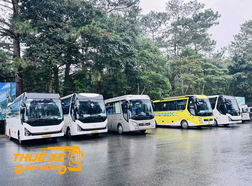 Giá xe tham quan nhà máy