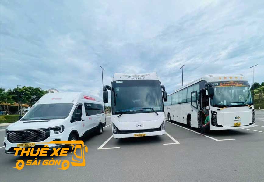 Đa dạng các dòng xe đi Phước An
