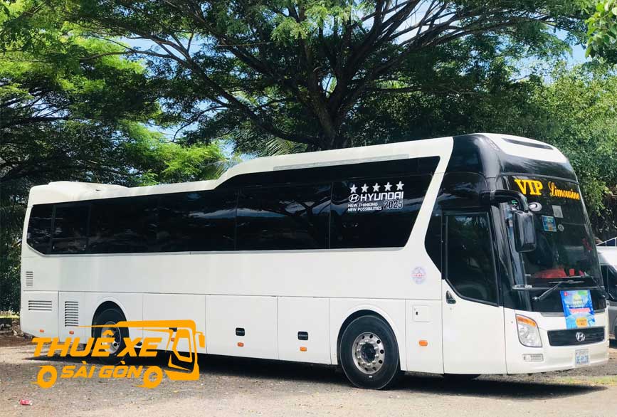 Kiểm tra thông tin và chất lượng xe