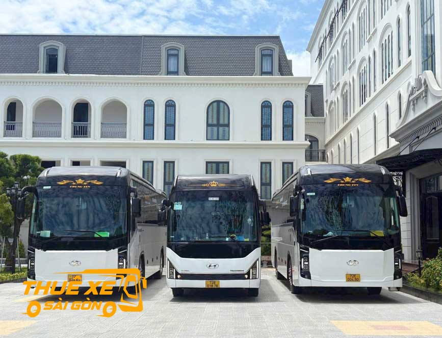 Đa dạng các dòng xe phục vụ khách tàu biển