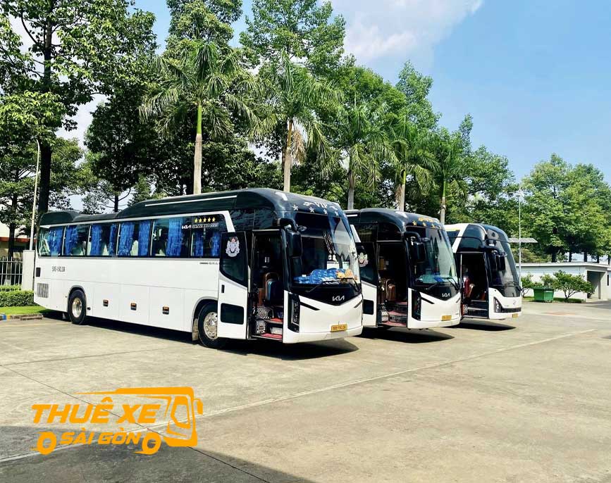 Xe 45 chỗ màu trắng luôn được ưa chuộng