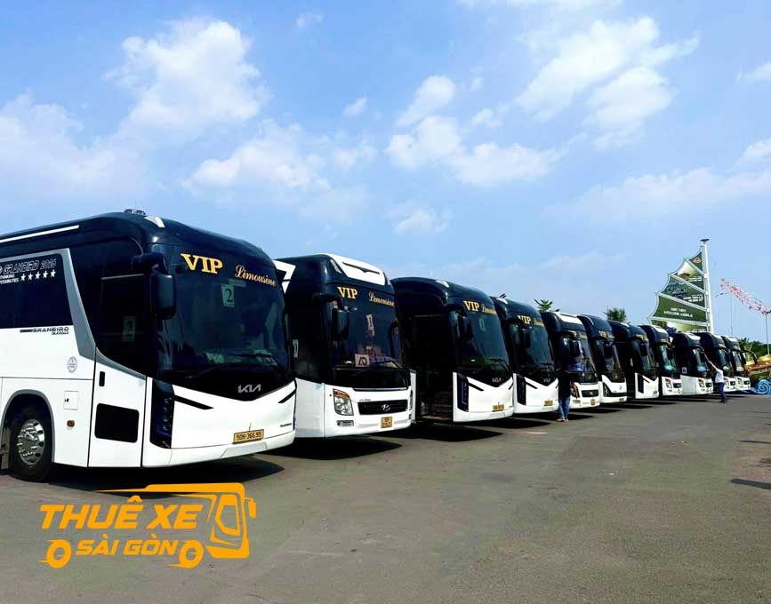Đa dạng các dòng xe 45 chỗ 
