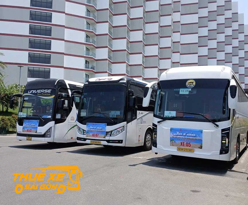 Liên hệ thuê xe 45 chỗ đi Cà Mau