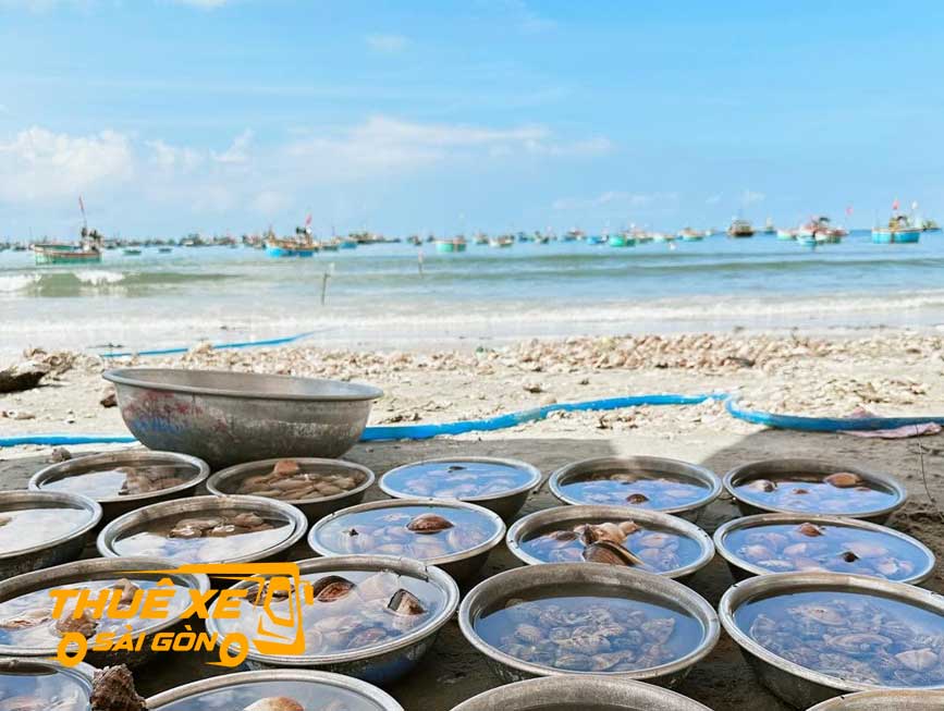 Mua hải sản tại Làng Chài Mũi Né