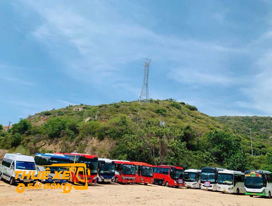 Thuê xe 29 chỗ giá rẻ tại TPHCM