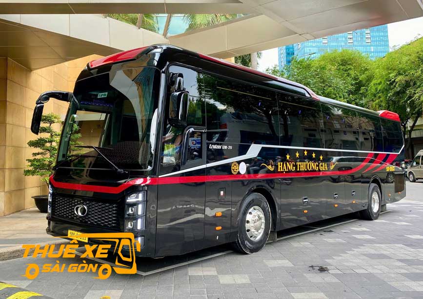 Thuê xe limousine 29 chỗ đi Vũng Tàu