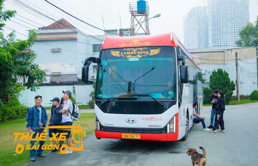 Thuê xe đi Cà Mau giá rẻ