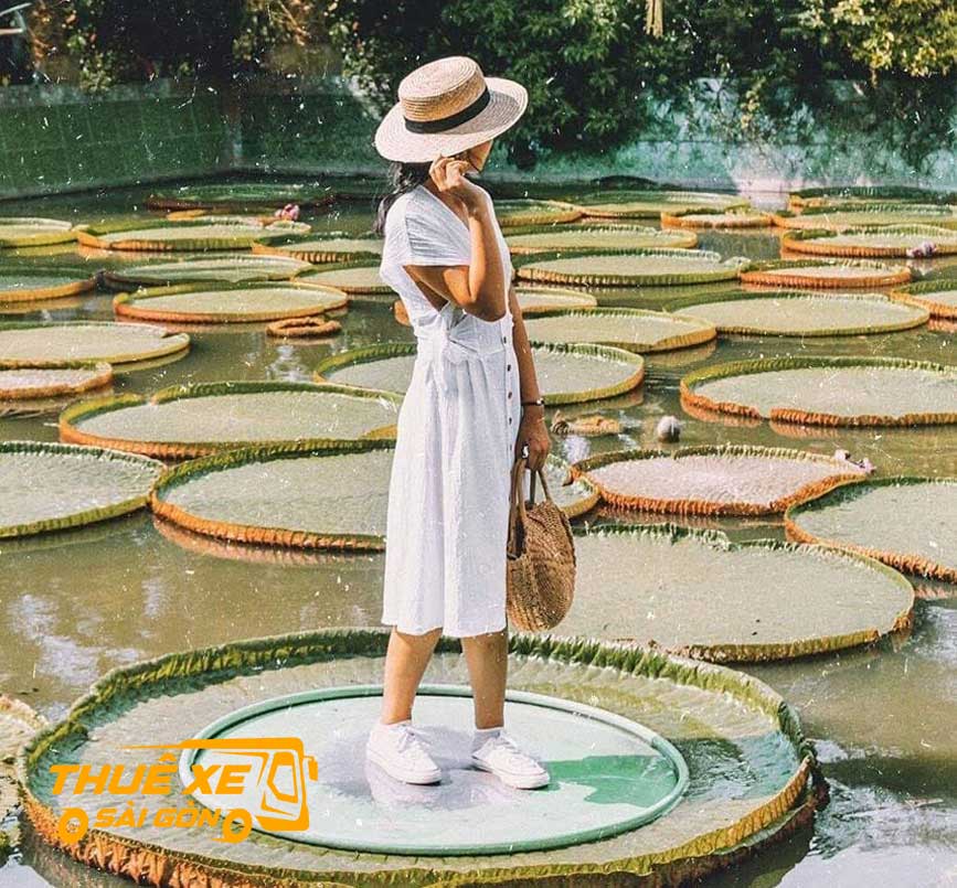 Đặt xe đi chùa Phước Kiểng