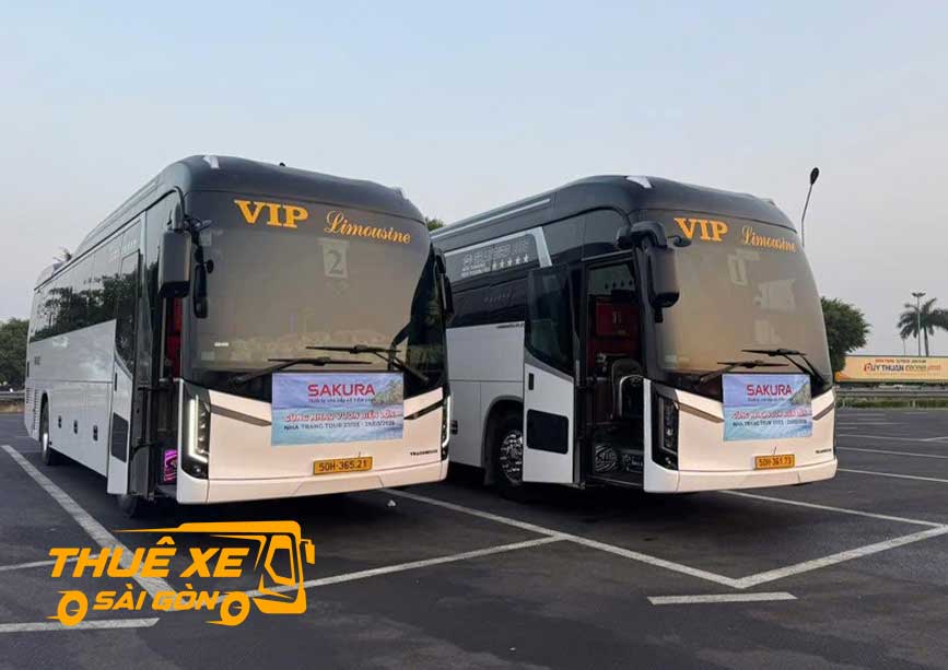 Thuê xe đi Đà Lạt giá rẻ từ Sài Gòn