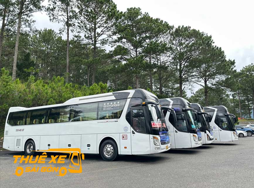 Cho thuê xe đi Bảo Lộc giá rẻ từ Sài Gòn